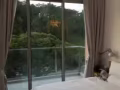 公寓主人房和普通房出租