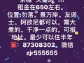求租！求租！求租！夫妻房