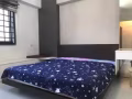 近市中心公寓普通间，主人房，单间30-60出租