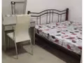 老文理夫妻房出租，可報地址