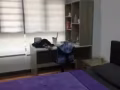 近榜鹅地铁站 单人普通房出租 （无屋主）