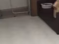 馬林百列近海邊有倆人間男搭房出租