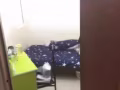 超低价【哗啦公园FarrerPark最近地铁高档公寓】温馨单人间 