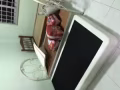 近义顺卡迪mrt大牌635大普通房首次出租