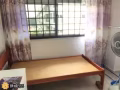 双人间报地址兀兰图书馆对面大牌363高楼诚招男搭房97646488