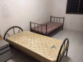 马西岭大牌172普通房出租