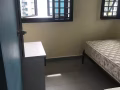 老文礼大房间寻找女搭房，报合法地址