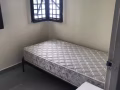 老文礼小房间寻找女房客，可煮，报合法地址