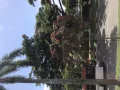 男床位出租