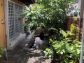 玛丽蒙地铁站旁汤申路上段附近别墅主人房l人950，二人1150住报本屋地址