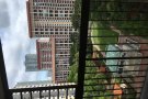 近碧山地铁5分钟低价出租漂亮普通房，无屋主，人少