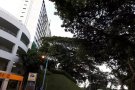 近地铁，无屋主，自由可煮1+1整套房屋低价出租