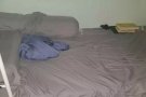 Looking for Male Bed sharing 