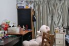 南洋理工大学(先驱)附近双人间一女生床位出租，只租中国人，不租夜班，报地址