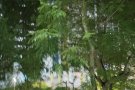 海军部地铁站附近有男搭房下铺，水电网全包，六人间，本屋服务业地址480，交一压一整套屋里住的人少安静，可煮饭，12月12