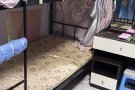 淡滨尼28x主人房招一女搭房，环境干净安静，包空调水电，独立衣柜月租400，电话83816371，邮编520285