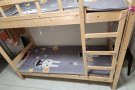 西海岸女搭房4人服务业地址