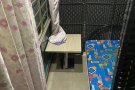 剩一个床位