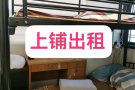 随时入住，兀兰海军部大牌714普通房招一位男搭房