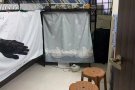 马西岭2人间招女搭房一位$400