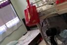 男女搭房