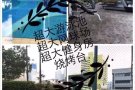 Bugis武吉士OG旁边BENCOOLEN公寓  酒店式公寓，一间佣人房出租