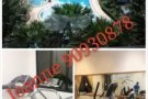 Central Grove现有大主人房和普通房出租，即可入住！ 