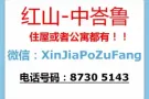 新加坡全岛整套房出租（4+1，3+1，2+1）快来询问！