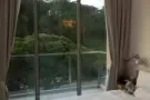 公寓主人房和普通房出租
