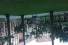 淡滨尼45街大牌497新房 招房客