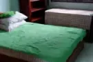 湖畔地铁站主人房短期出租