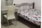 老文理夫妻房出租，可报地址