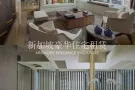 Ardmore Residence 新加坡乌节路豪华公寓出租