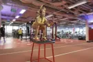新加坡大型健身中心优惠活动开始啦