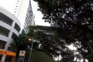 近地铁，无屋主，自由可煮1+1整套房屋低价出租