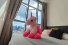 ❤️花啦公园地铁站 最新 网红豪华公寓主人房普通房。白领留学生优选！