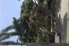 男床位出租