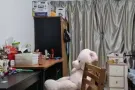 南洋理工大学(先驱)附近双人间一女生床位出租，只租中国人，不租夜班，报地址