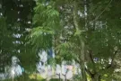 海军部地铁站附近有男搭房下铺，水电网全包，六人间，本屋服务业地址480，交一压一整套屋里住的人少安静，可煮饭，12月12