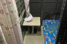剩一个床位