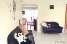 ~~~三分钟文庆地铁站 BOONKENG 温馨大普通房无屋主 限男生~~~