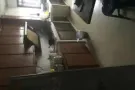 后港三道大牌243德福冷气网速快，致电9715 1537