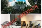 Central Grove现有大主人房和普通房出租，即可入住！ 