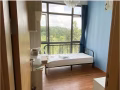 Hillview山景超美公寓普通房出租