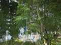 海军部地铁站附近有男搭房下铺，水电网全包，六人间，本屋服务业地址480，交一压一整套屋里住的人少安静，可煮饭，12月12