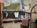 搭房床位出租