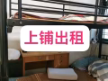 随时入住，兀兰海军部大牌714普通房招一位男搭房