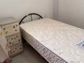 淡滨尼东女搭房男搭房