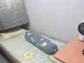 中巴鲁地铁站空调小房间出租，3月1入住，租金850