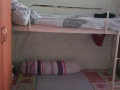 Looking for Male Bed sharing